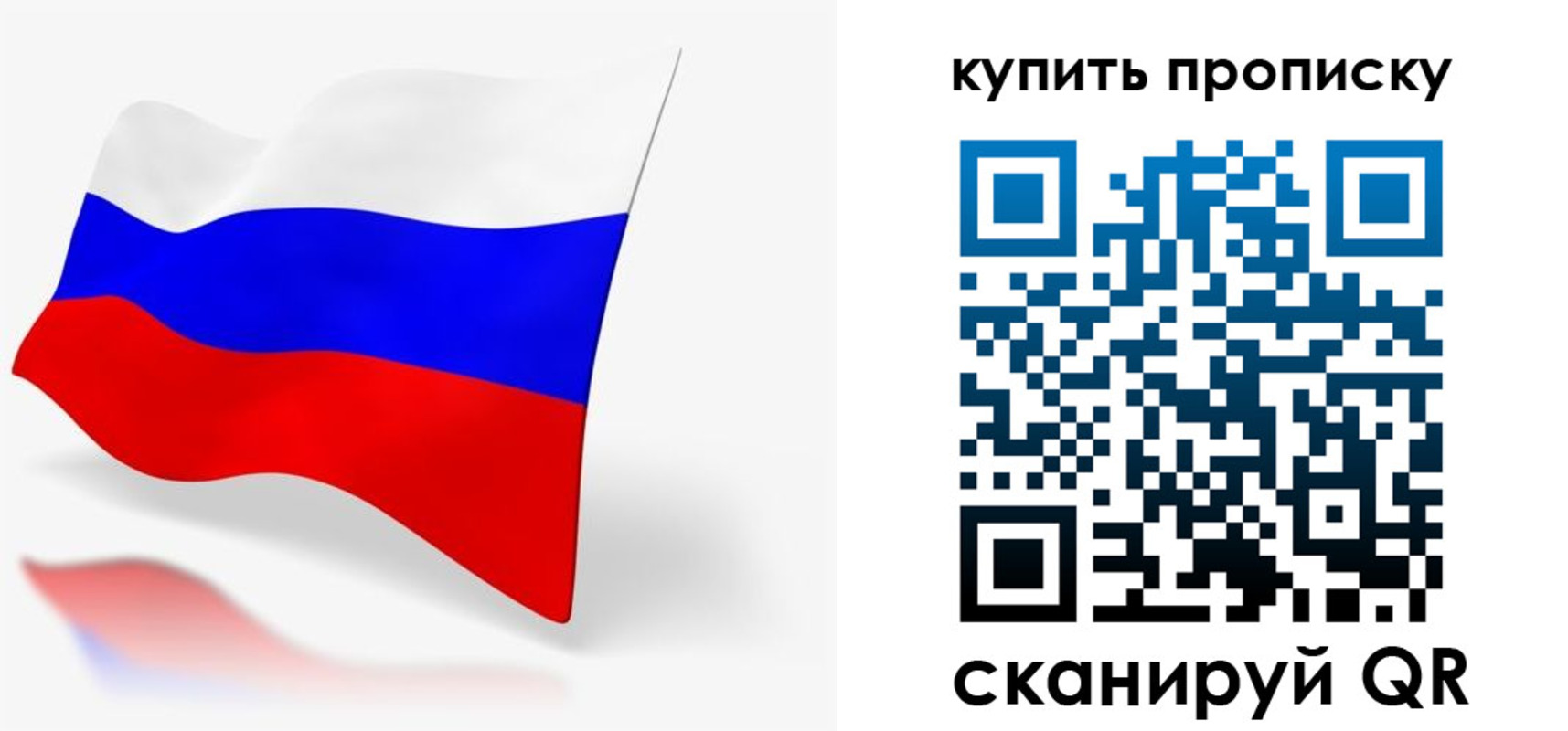 временная регистрация гарантия в Курской области